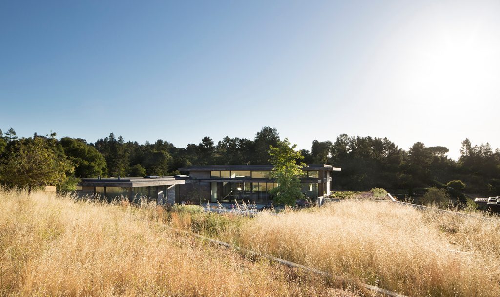 Feldmans Little House on the Prairie