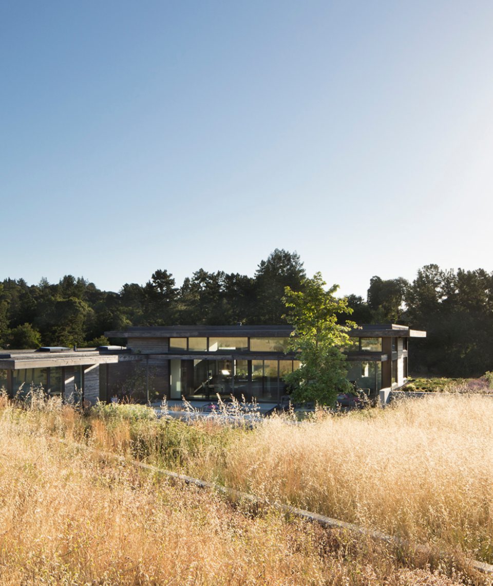 Feldmans Little House on the Prairie