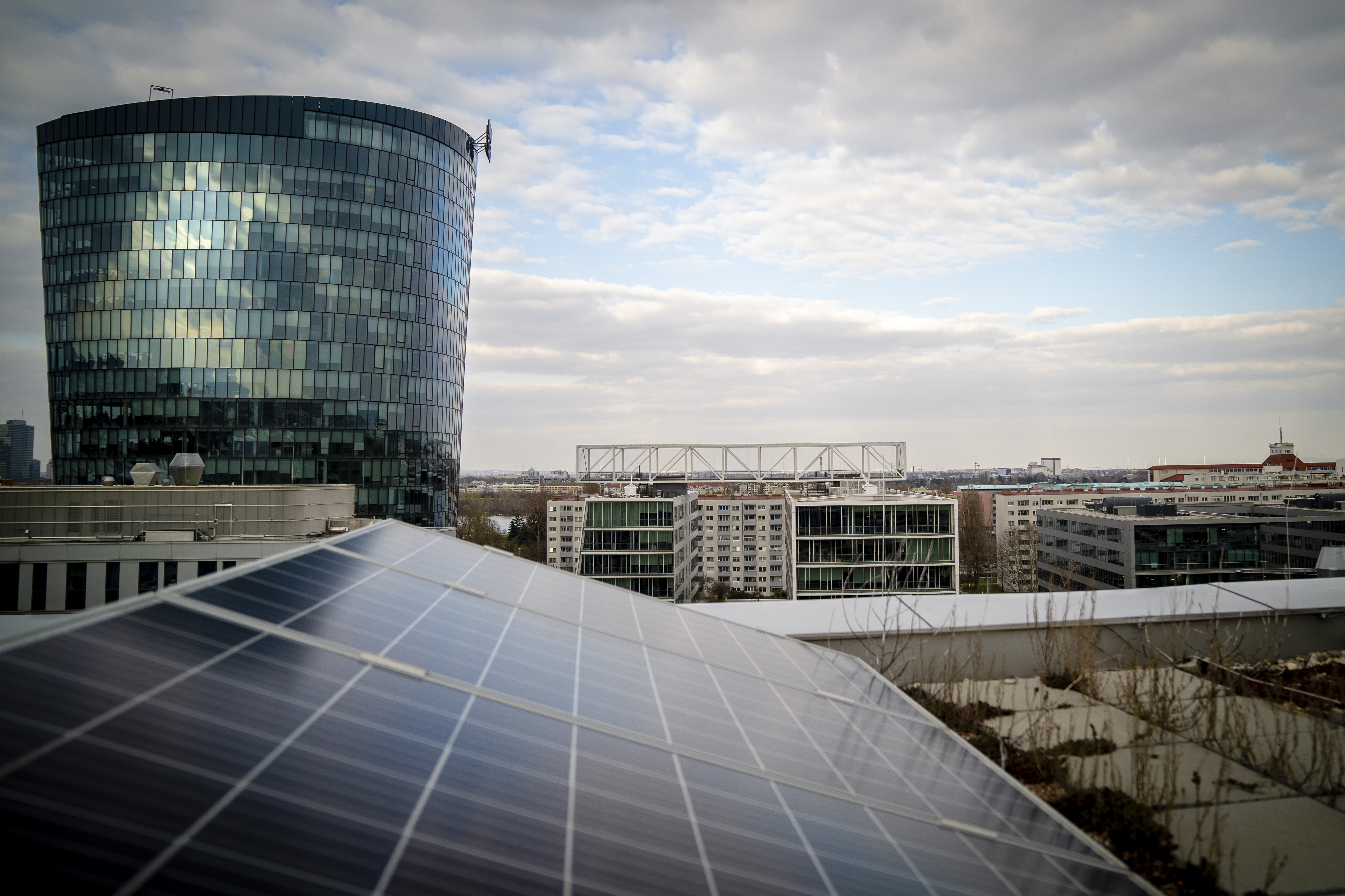 Die PV Anlage im Viertel Zwei.; Fotocredit: Wien Energie