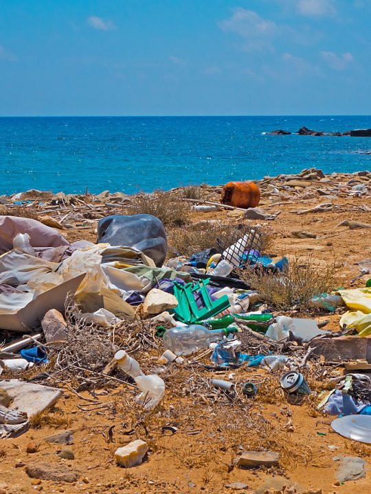 Plastikmüll ist und bleibt ein unfassbares Umweltproblem – Foto: © adege / pixabay.com