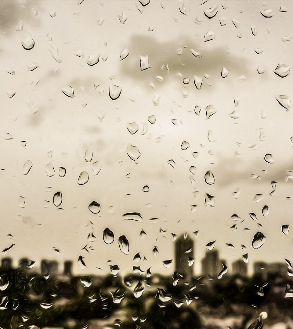 Regenwasser in der Stadt: wie kann man es nachhaltig nutzen? / Fotocredit: pixabay/pioordozgoith