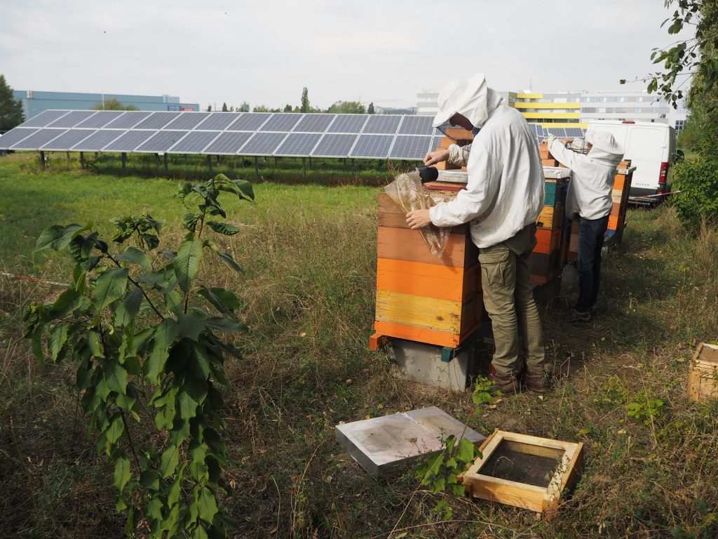 Bürgersolarkraftwerk Wien Liesing