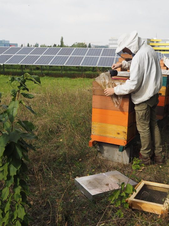 Bürgersolarkraftwerk Wien Liesing