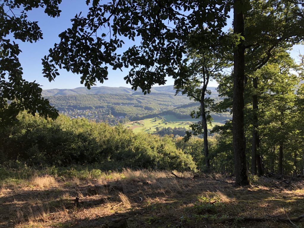 Der Wienerwald ist ein atemberaubender Juwel, der unseren Schutz verdient! Fotocredit: Energieleben Redaktion