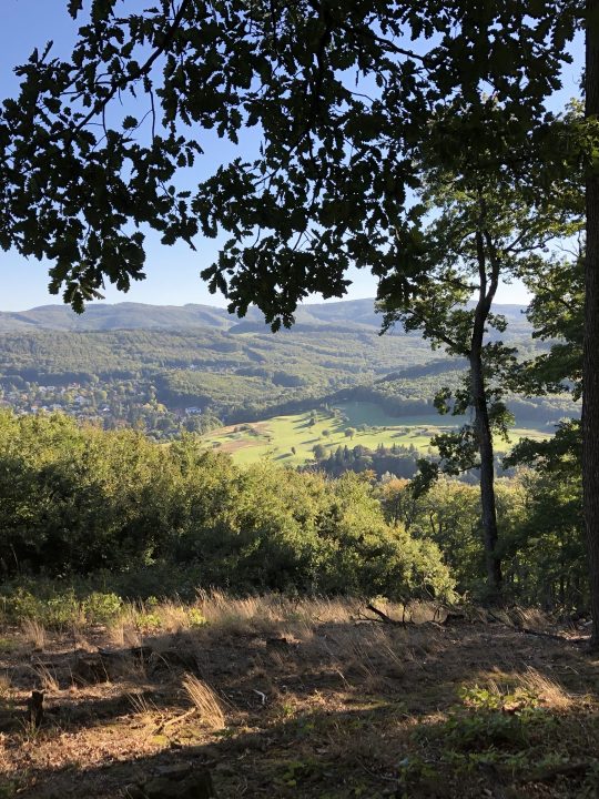 Der Wienerwald ist ein atemberaubender Juwel, der unseren Schutz verdient! Fotocredit: Energieleben Redaktion