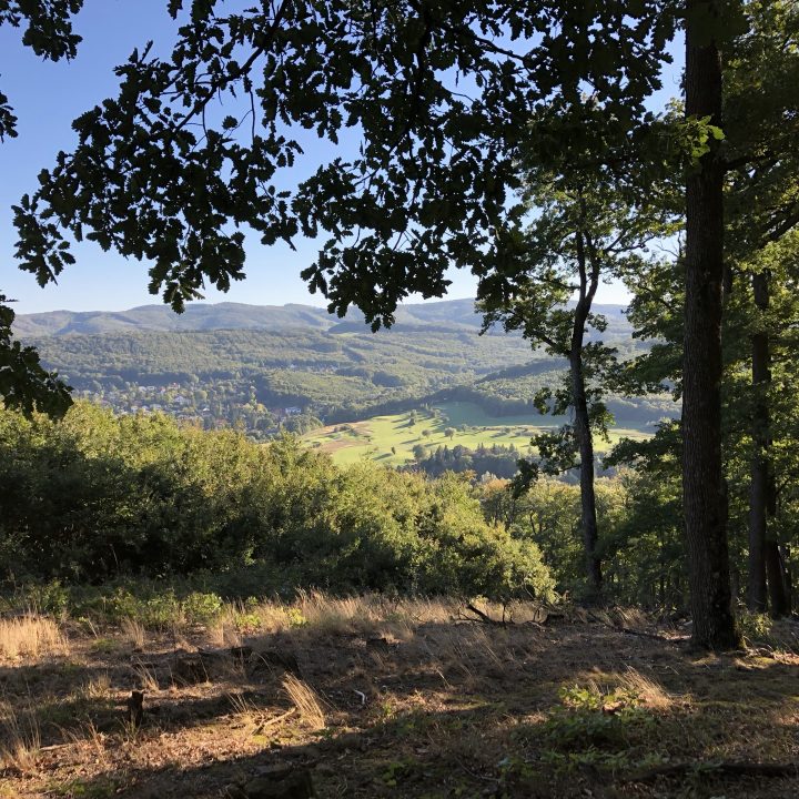 Wienerwald, Photocredits: Energieleben Redaktion