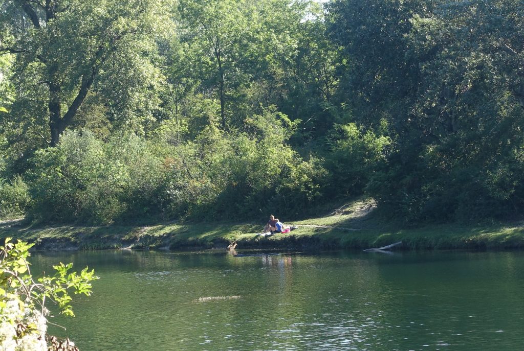 Picknick in der Lobau, Photocredits: Energieleben Redaktion