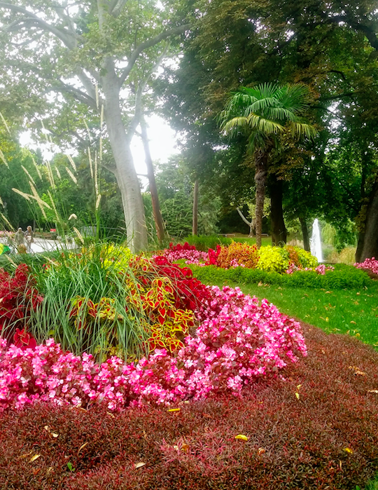 Gepflegte Blumenanlagen finden sich im Türkenschanzpark genauso wie ganz naturbelassen wirkende Freiflächen.