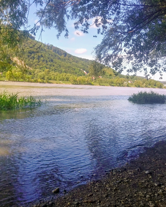 Ruhige Buchten, klares Wasser – willkommen im Naturparadies Donauinsel.