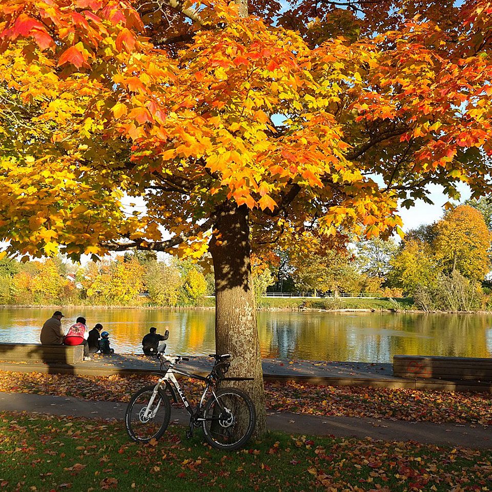 Topliste Die schönsten Unternehmungen im Herbst Energieleben
