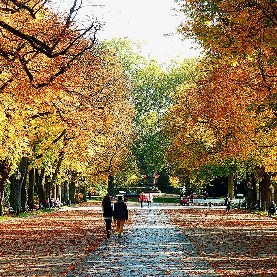 Topliste Die schönsten Unternehmungen im Herbst Energieleben