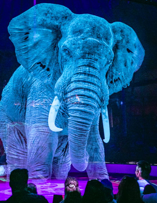 Zwei Jahre Planungszeit hat es benötigt, um die Seele von Roncalli in Holografien einzufangen. – Foto: © circustheaterroncalli