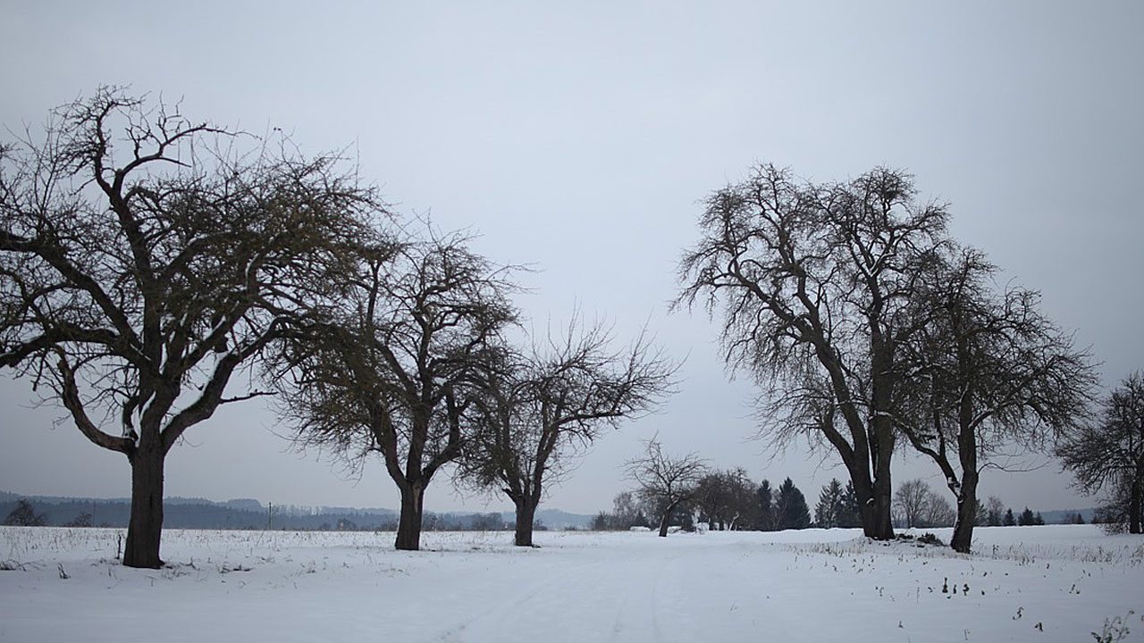 5. Geh neue Wege. Brich bei deinen täglichen Routen mit deinen Alltagsgewohnheiten. - Fotocredit: Pixabay/cinelina