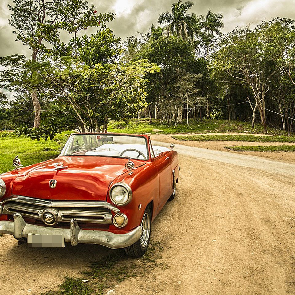 Fotocredit: Pixabay/Noel_Bauza