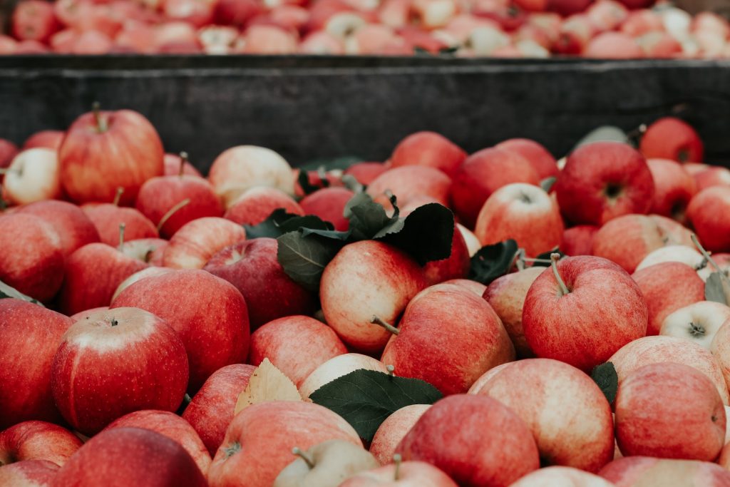 Apfel gibt es meist das ganze Jahr, da man diese sehr gut lagern kann. Fotocredit: Unsplash.com/ Joanna Nix