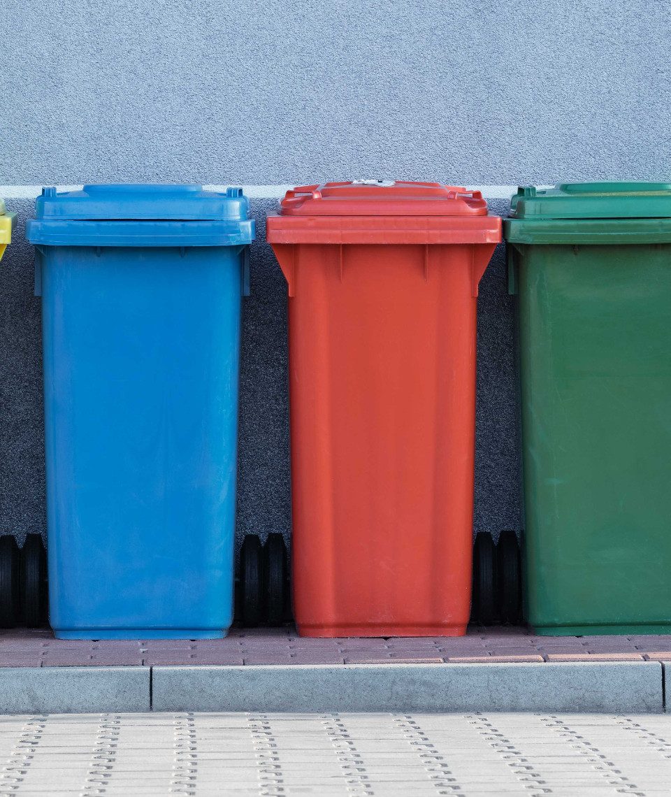 Was gehört wohin?, Fotocredit: Unsplash