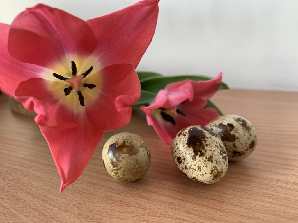 Wachteleier sind wunderschön gesprenkelt und verleihen jeder Ostertafel einen elegant-rustikalen Touch!, Fotocredit: Energieleben Redaktion