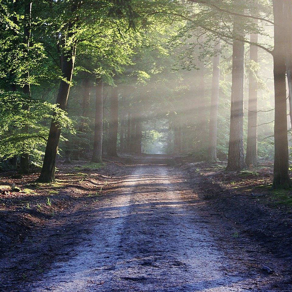 Fotocredit: Pixabay/bertvthul