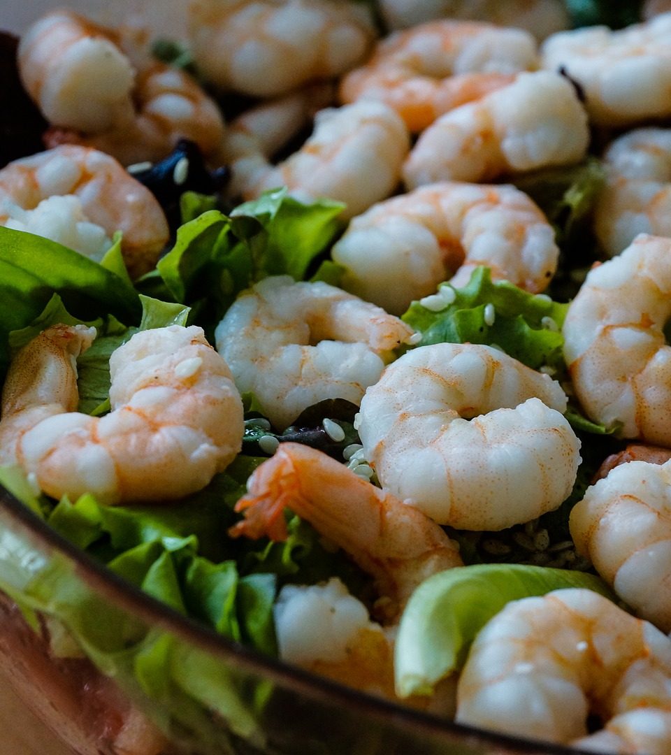 Shrimpscocktail bald aus dem Labor? Shiok Meats macht’s möglich. Fotocredit: © Taken / Pixabay