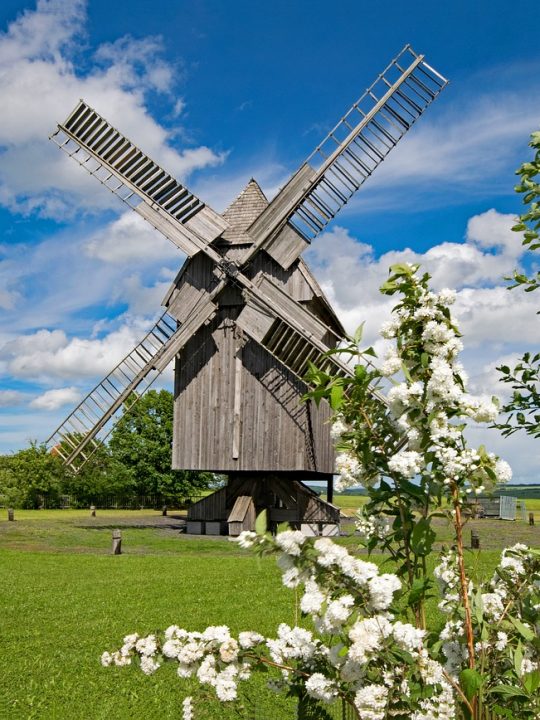 Mit klassischen Windmühlen wurde schon vor Jahrhunderten die Windkraft genutzt, um Getreide zu mahlen oder Wasser zu heben. Fotocredit: © lapping/Pixabay