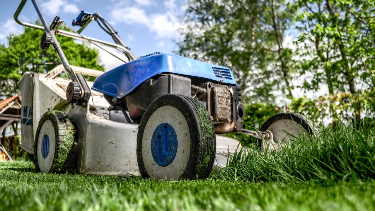 Die Ernte des Rasenmähers gehört natürlich auf den Komposthaufen. Aber nicht zu viel auf einmal und auf die Durchmischung mit trockenen Material nicht vergessen. Bild: Pexels