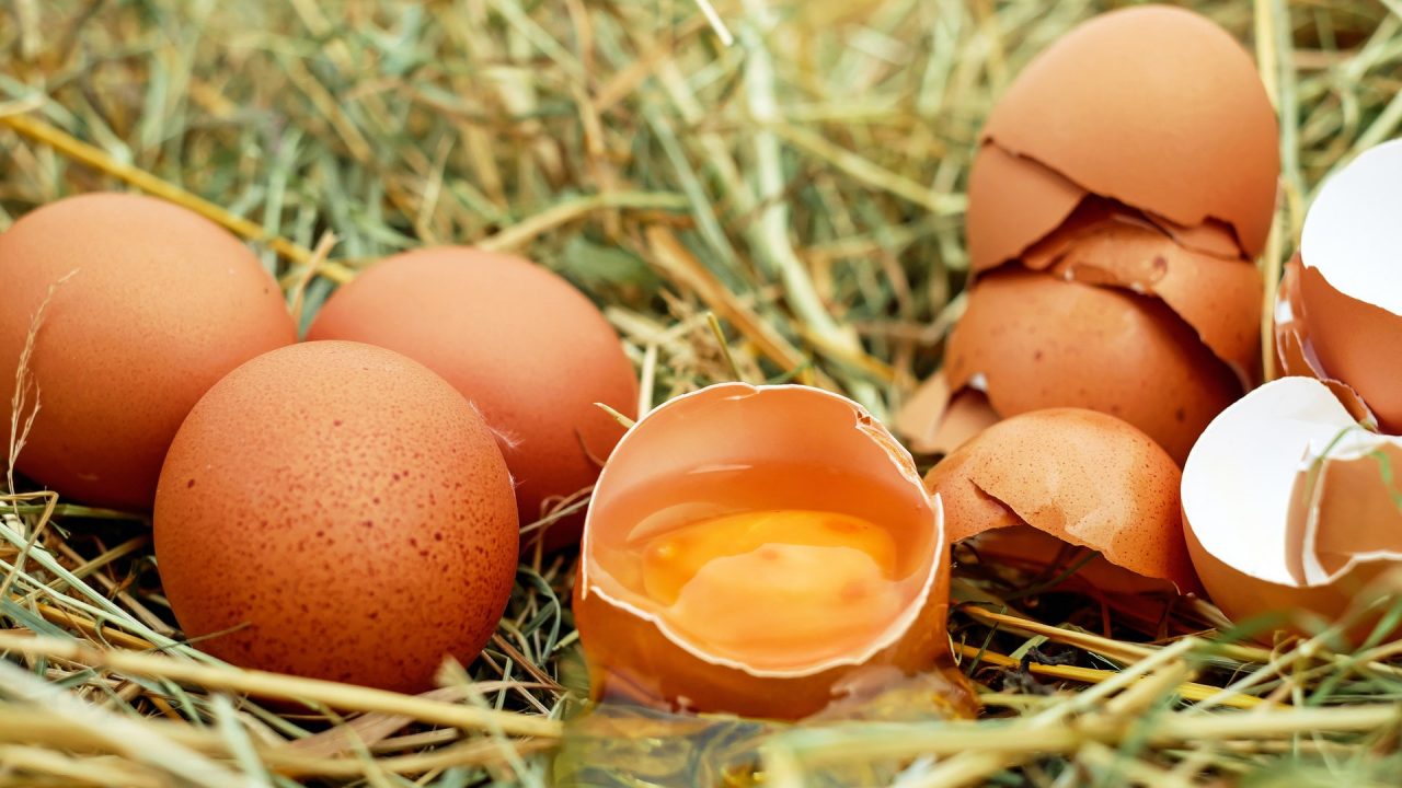 Die Schalen roher Eier solltest du wegen möglicher Salmonellen besser im Restmüll entsorgen. Bild: Pexels