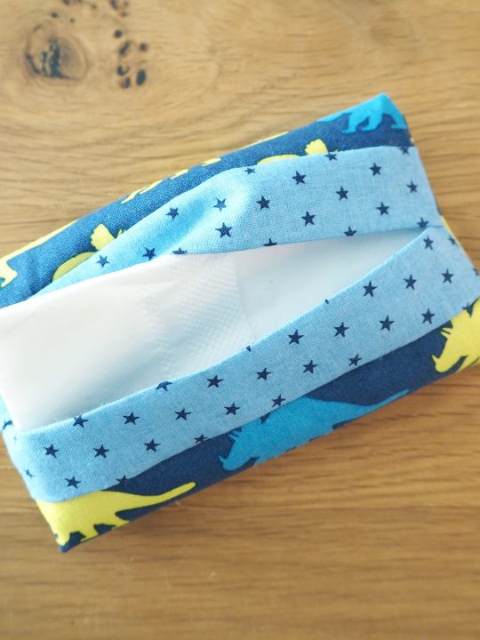 DIY Taschentuch Etui