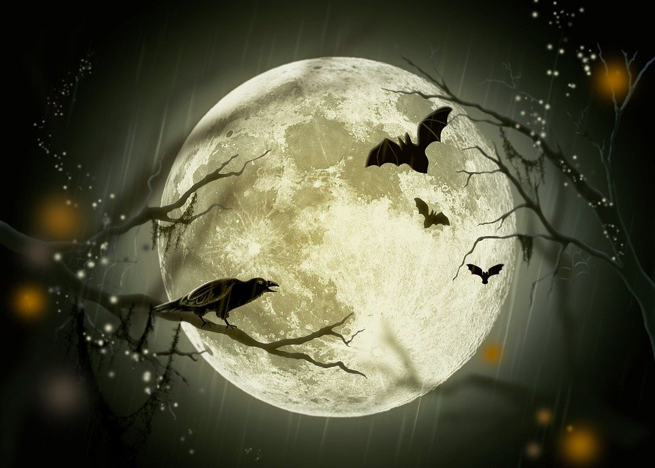 Gruselnacht: Wir zeigen dir, welche DIY-Kostüme du dir auch noch Last Minute für Halloween selbst kreieren kannst. Fotocredit: © Larisa Koshkina/Pixabay