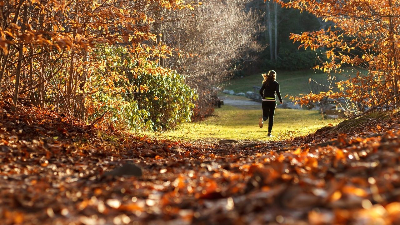 1. Mach Sport im Freien! - Fotocredit: Pixabay/andychoinski