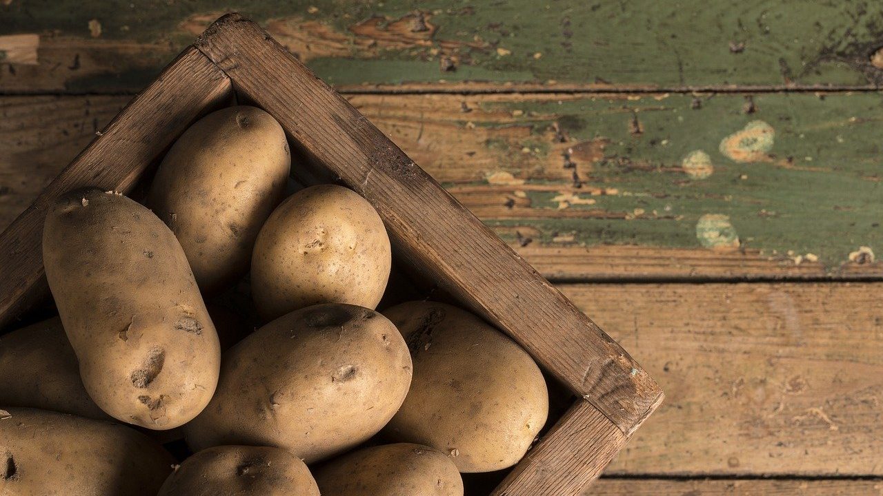 Lagerkartoffeln werden hierzulande von April bis November geerntet und versorgen uns dank ihrer Lagerungseigeschaften auch in den Wintermonaten mit Nährstoffen wie unter anderem mit Magnesium, Eisen und Vitamin B1 bzw. B2. Fotocredit: © Marko Paakkanen/Pixabay