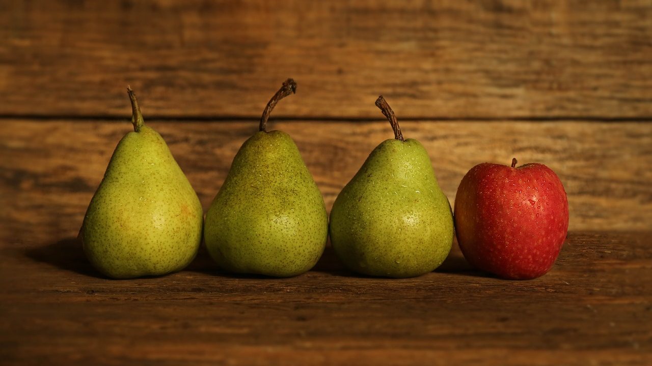 Mit Äpfeln und Birnen aus heimischem Anbau können wir unsere Lust auf Obst und etwas Gesundes, Süßes auch im Winter stillen. Fotocredit: © Tracy Lundgren/Pixabay