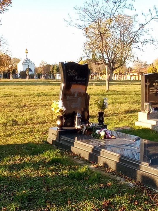 Einfach nur Gräber? Diese Beschreibung würde dem Wiener Zentralfriedhof eindeutig nicht gerecht werden. Denn es gibt hier einiges zu entdecken. Unter anderem eine der größten Solaranlagen der Stadt.