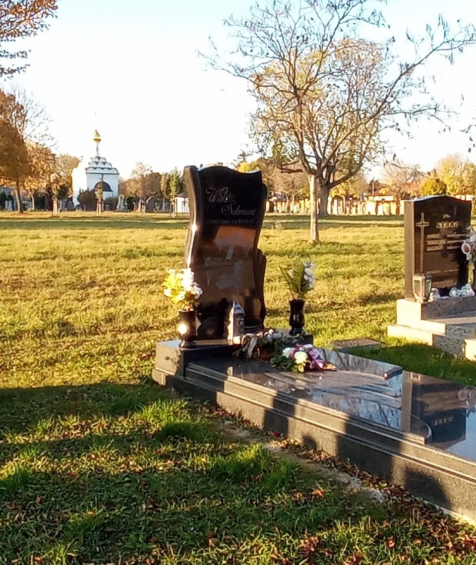 Einfach nur Gräber? Diese Beschreibung würde dem Wiener Zentralfriedhof eindeutig nicht gerecht werden. Denn es gibt hier einiges zu entdecken. Unter anderem eine der größten Solaranlagen der Stadt.
