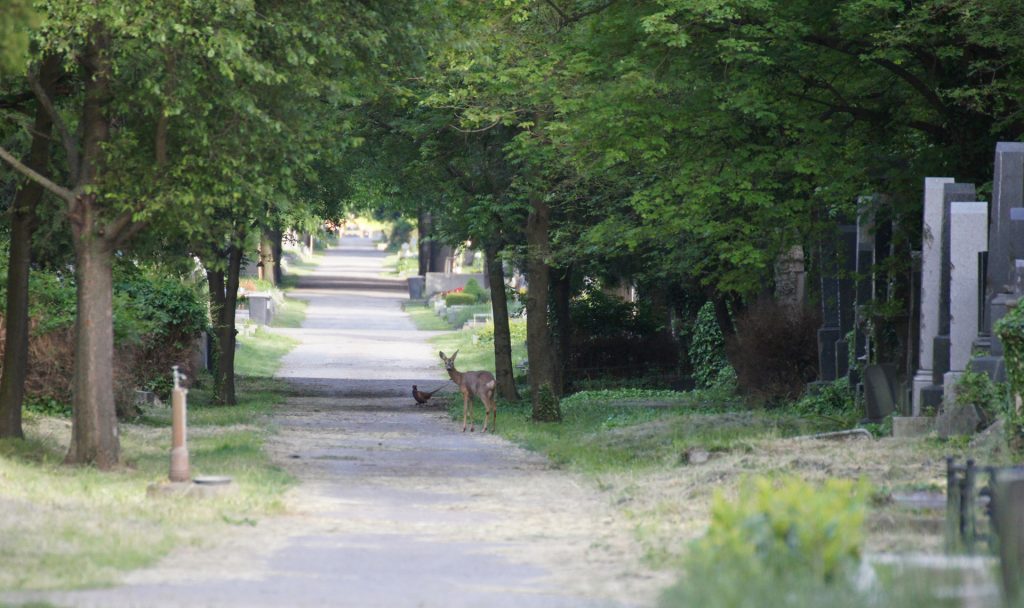 Fotocredit: Anke Licht / instagram.com/daheimistlangweilig