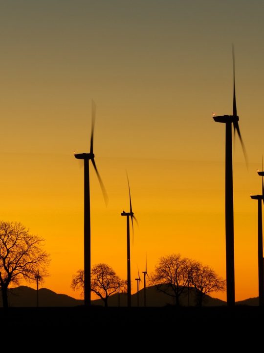 Auch wenn sie hier schwarz anmuten, die meisten Windräder und ihre Rotorblätter sind weiß. In Punkto Vogelschutz könnte aber gerade die Farbe Schwarz eine einfache Lösung sein. Fotocredit: © Markus Distelrath/Pixabay