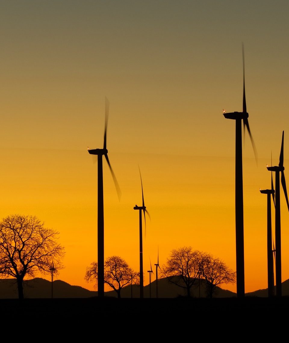Auch wenn sie hier schwarz anmuten, die meisten Windräder und ihre Rotorblätter sind weiß. In Punkto Vogelschutz könnte aber gerade die Farbe Schwarz eine einfache Lösung sein. Fotocredit: © Markus Distelrath/Pixabay