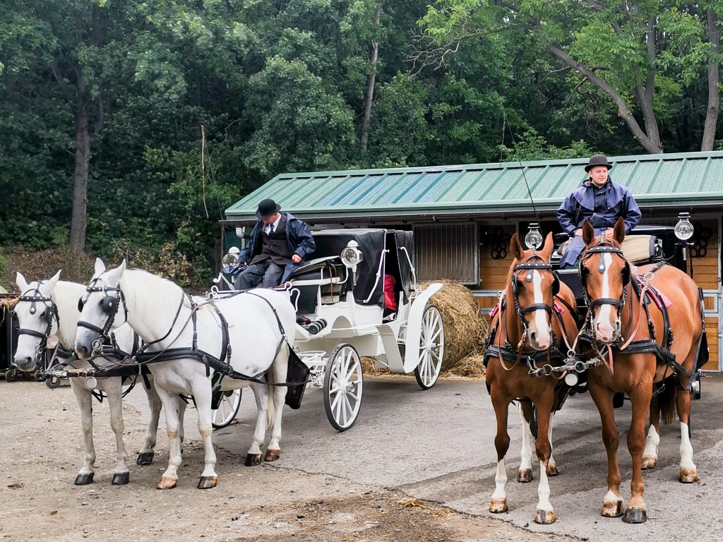 Das Fiakertraditionsgesetz bestimmt die Optik der Kutschen und auch den Dress-Code der Fahrerinnen und Fahrer. Fotocredit: Energieleben Redaktion