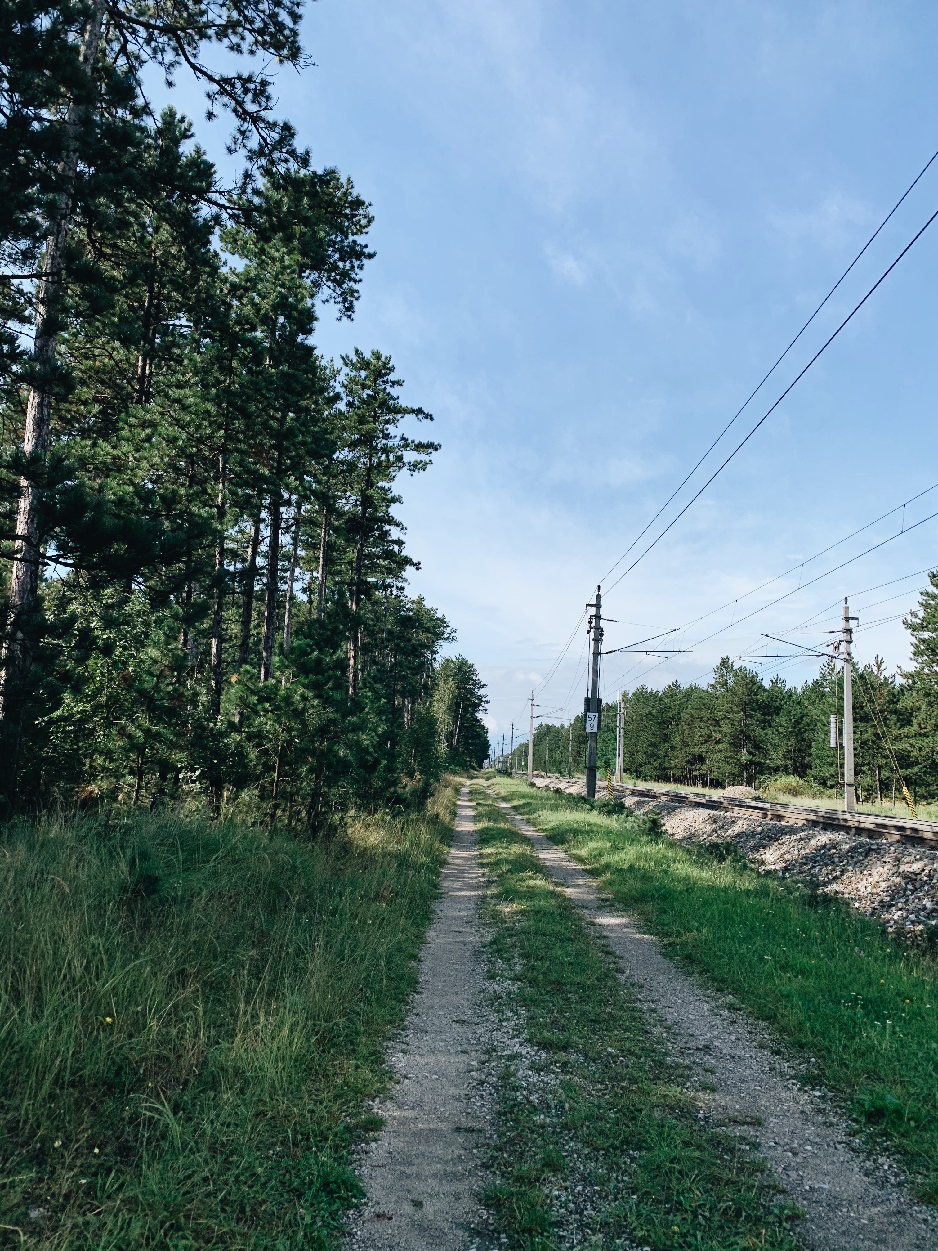 Gravel, Wiener Neustadt, Föhrenwald