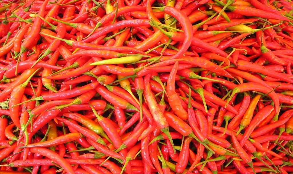 Capsaicin ist der Stoff, der dafür sorgt, dass wir Chilis als scharf empfinden – und dass Solarzellen in Zukunft effizienter sein könnten. Fotocredit: © Simon/Pixabay