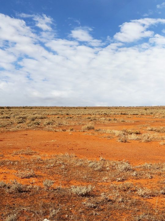 In der Wüste in Westaustralien soll im Zuge des Asian Renewable Energy Hub das weltweit größte Kraftwerk für erneuerbare Energien entstehen. Fotocredit: © Tracy Lundgren/Pixabay