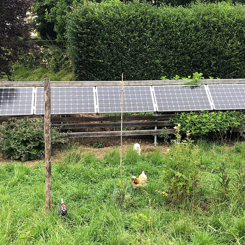 Foto: Energieleben Redaktion
