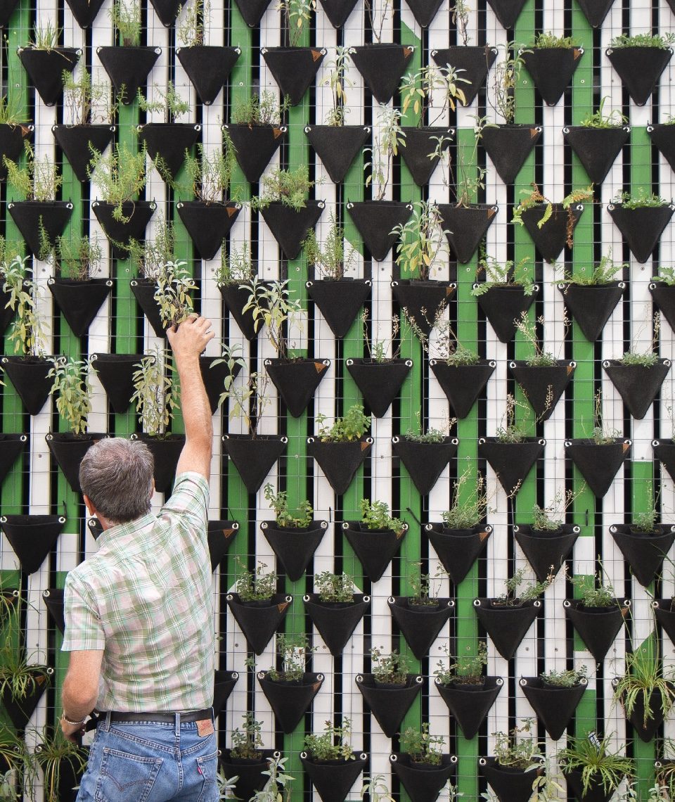 Anstatt Ackerflächen und Wasser zu verbrauchen, könnte die vertikale Landwirtschaft mit wenig Platz- und Wasseraufwand auch Städtern ermöglichen, jederzeit frischen Salat zu ernten. Foto: © Daniel Funes Fuentes/Unsplash