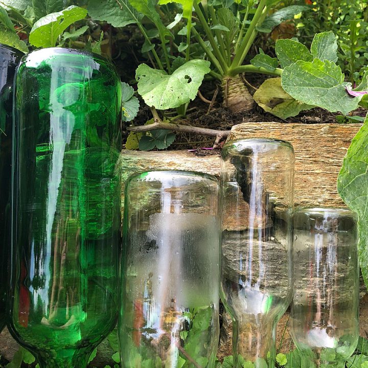 Topliste: So kannst du Glasflaschen im Garten verwenden
