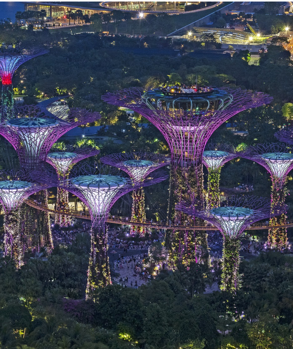 Vorreiter in Sachen grüner Architektur: Singapur beeindruckt mit üppig grünen Panoramen. Fotocredit: © schliff/Pixabay