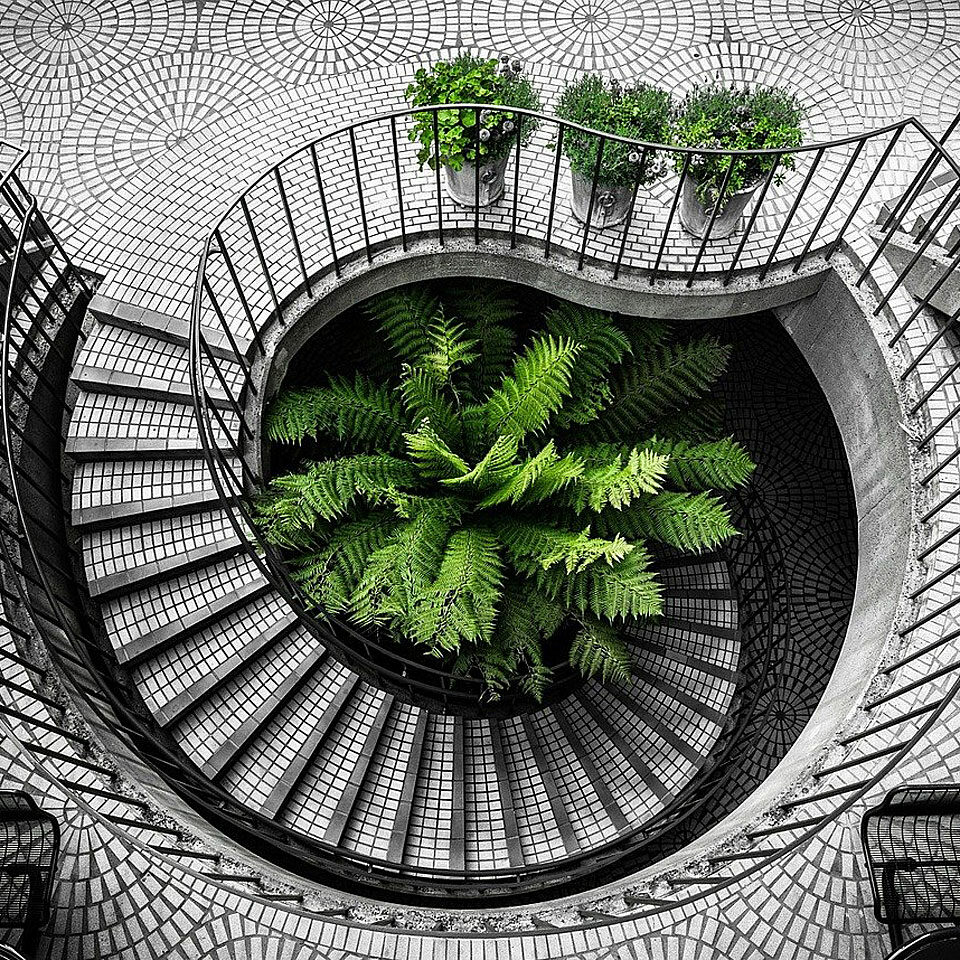 Fotocredit: Pixabay/yuanzhangliang