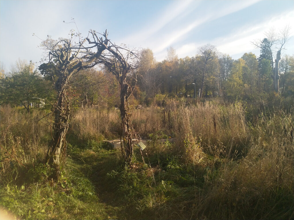 Auch umgedrehte, entwurzelte Bäume können als Baumaterial dienen. - Fotocredit: Elisabeth Demeter