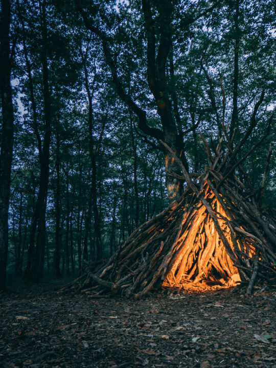 Tipi im Wald