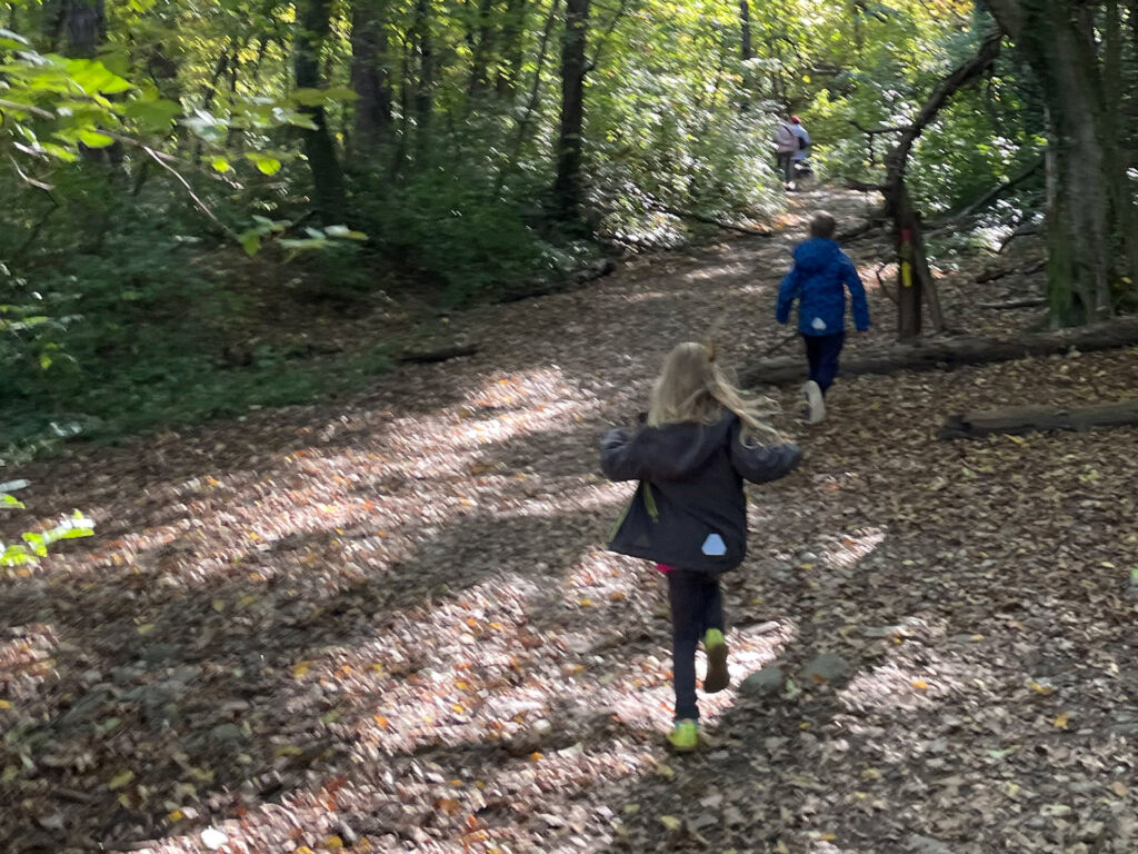 Kinder im Wald