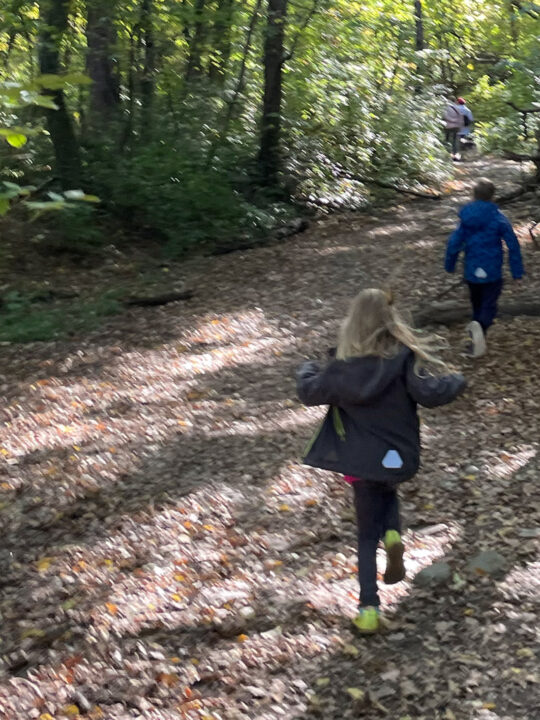 Kinder im Wald