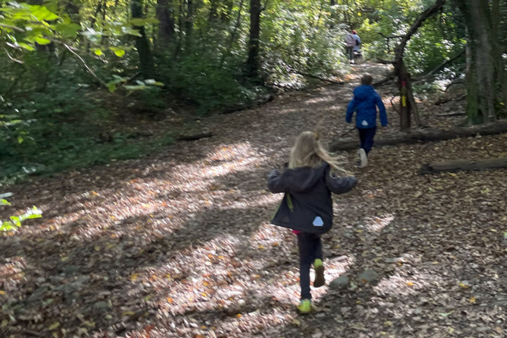 Kinder im Wald